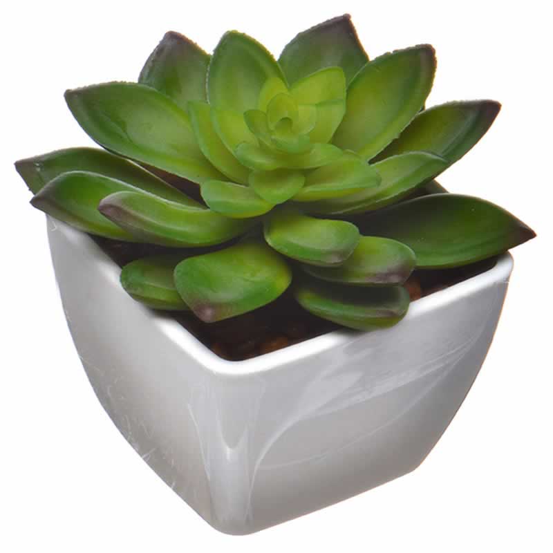 仿真綠色植物