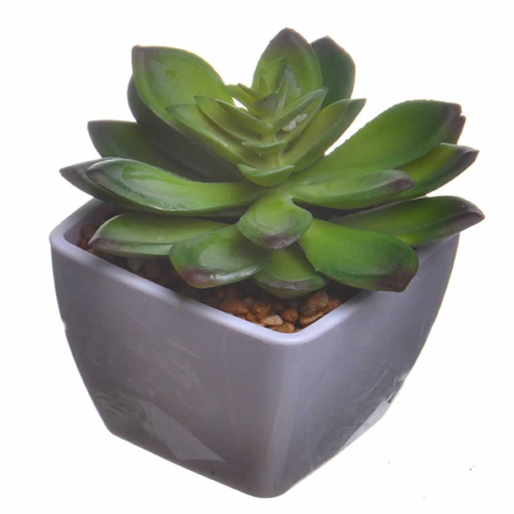 仿真多肉植物盆栽