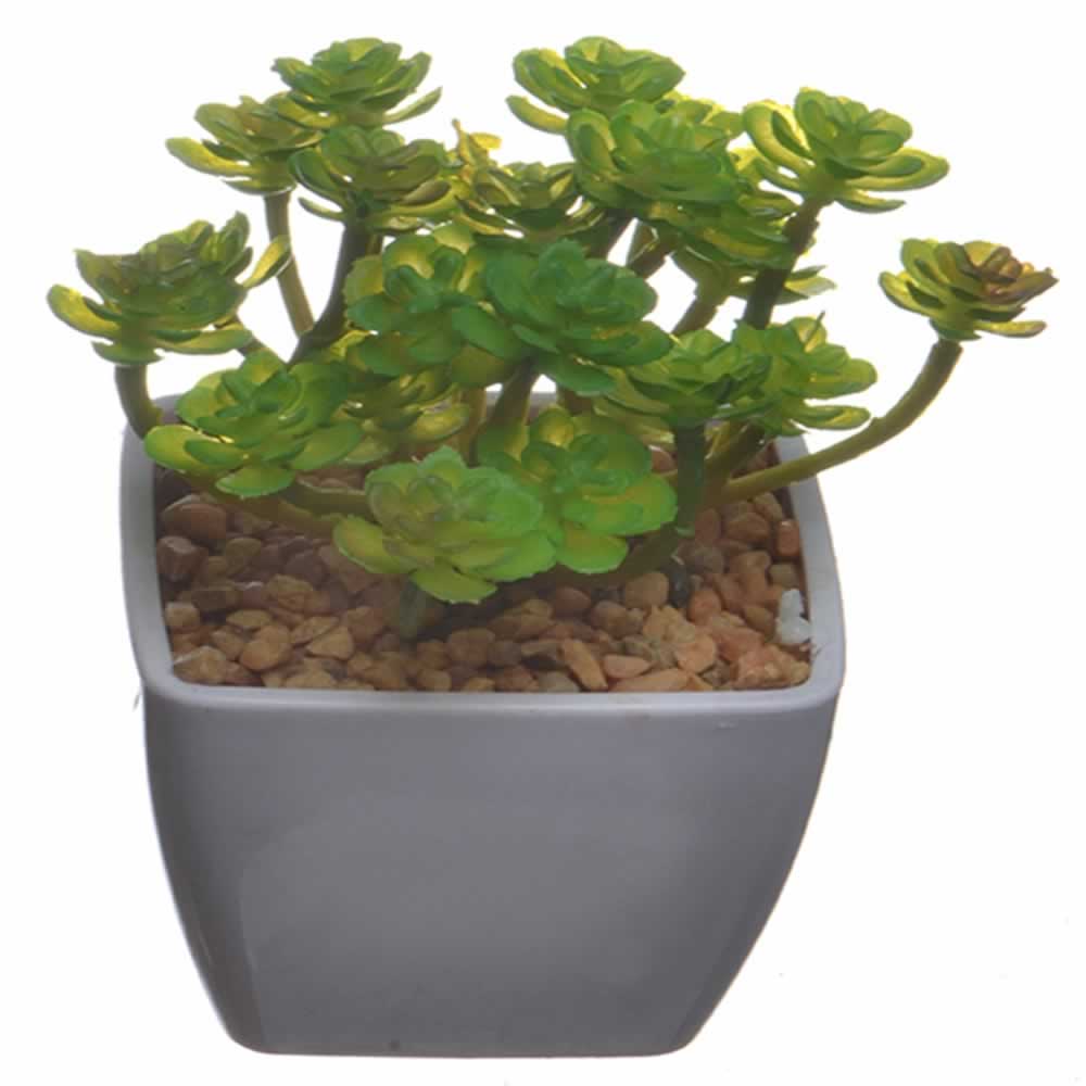 仿真多肉植物盆栽