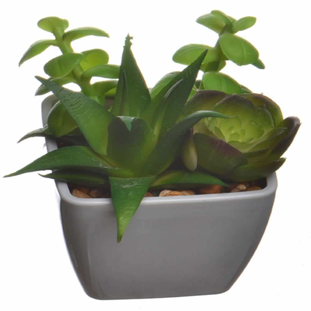 仿真多肉植物盆栽
