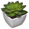 仿真綠色植物