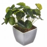 仿真綠色植物