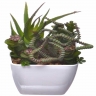 仿真綠色植物
